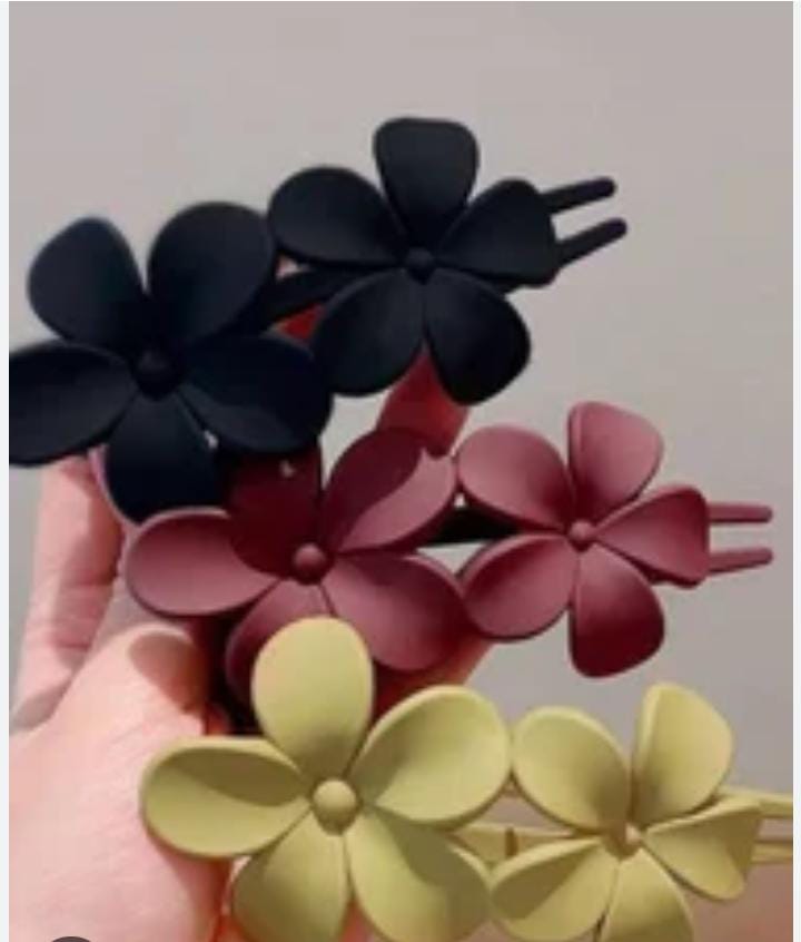 KOREAN HAIR CLAW CLIPS